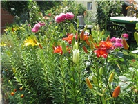 98588ead-Picture 843.jpg